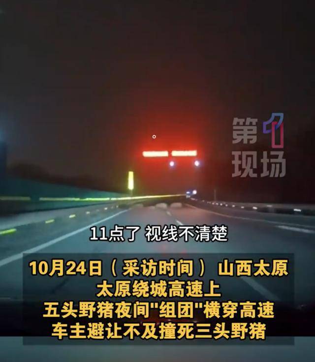 山西一男子高速撞上野豬群，致3死2失蹤:萬科物業服務有限公司